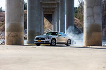 2015 Ford Mustang GT burnout by geoland