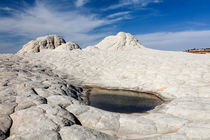 Restwassersee in weissen Felsformationen, White Pockets, Vermilion Cliffs National Monument, Arizona, USA by geoland