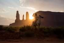 Cowboy, Reiter mit Pferd im Licht der untergehenden Sonne, Monument Valley, Tsé Bii? Ndzisgaii, Navajo Nation Reservation, Arizona, USA von geoland