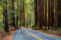 Strasse durch den Henry Cowell Redwoods State Park, Falls Creek Unit, Kalifornien, USA von geoland