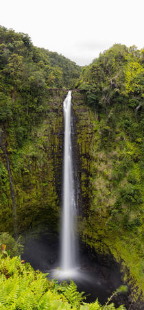 Akaka Falls, Wasserfälle, Ostküste von Big Island of Hawai'i, USA by geoland