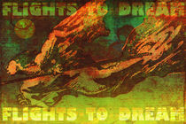 flights to dream 01 by Vladimir Krstic