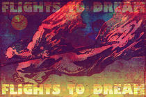 flights to dream 02 von Vladimir Krstic