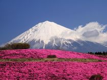 Monte Fuji-Japan by thalynne  watanabe