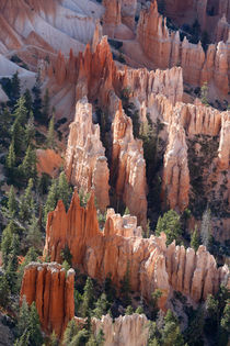Bryce Canyon, Utah, USA by geoland
