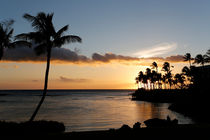 Sonnenuntergang unter Palmen, Waikoloa Beach, Big Island von geoland