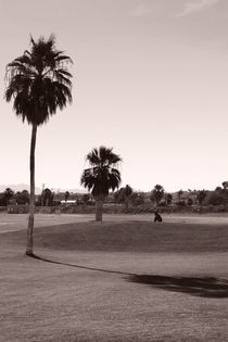 Golf unter Palmen  by Bastian  Kienitz