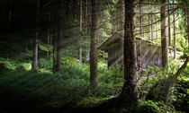 Waldhütte von photoart-hartmann