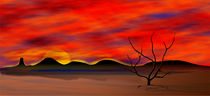 desert sunset von Tim Seward