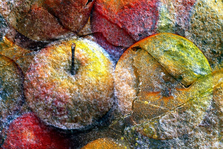 Stone-fruit-dot-jpg