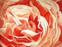 Rose by Riklef Petersen