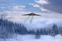 Winter flight by James Biggadike
