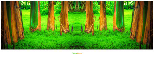 Green-forest