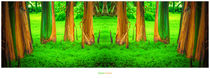 Green Forest von Ingo Menhard