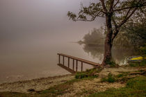foggy morning by Bor Rojnik