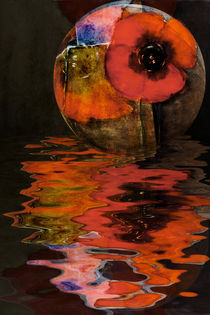 water poppy - Wassermohn von Chris Berger