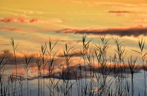Sunset on the shore von Peter Bergmann