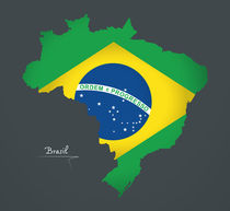 Brazil Map Artwork Special Edition by Ingo Menhard