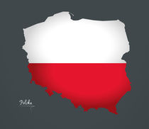 Poland Map Artwork Special Edition by Ingo Menhard