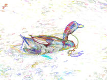Ducks swim in a pond 3 von lanjee chee