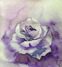 Ton in Ton Zeichnung Rose von Dorothea "Elia" Piper