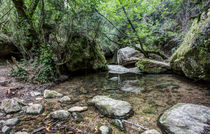 martinet-creek-aiguafreda-catalonia by Marc Garrido Clotet
