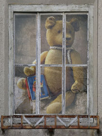 Fensterbild - the collector von Chris Berger