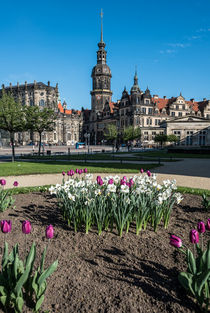 Die Dresdner Altstadt im Frühling I – Fotografie von elbvue von elbvue