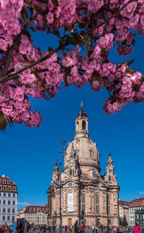 Die Dresdner Frauenkirche im Frühling – Fotografie von elbvue von elbvue