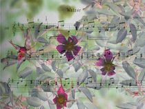 waltz melody - Walzermelodie by Chris Berger