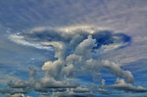 the cloud von Peter Bergmann