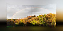 Regenbogen -  Rainbow by Chris Berger