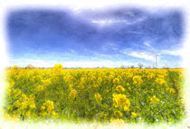 Yellow Fields Of Summer Art by David Pyatt