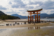 Torii Gate Miyajima by tfotodesign