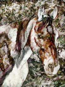 Portrait of Red Horse von lanjee chee