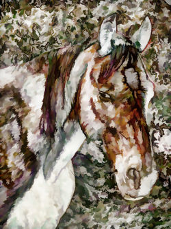 Portrait-of-red-horse