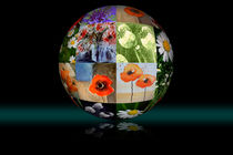 Flower globe - Blumenkugel von Chris Berger