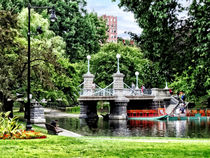 Boston MA - Boston Public Garden Bridge by Susan Savad