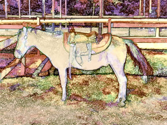 Saddle-on-horseback-1