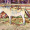 Saddle-on-horseback-1
