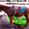 Saddle-on-horseback-2