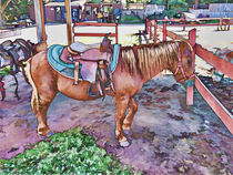 Horse at zoo von lanjee chee