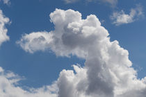Snoopy Cloud von David Pyatt