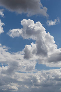 Snoopy Cloud by David Pyatt
