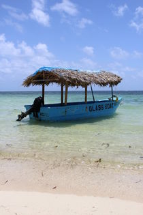 Caribbean Boat von Tricia Rabanal