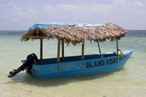  Caribbean boat von Tricia Rabanal