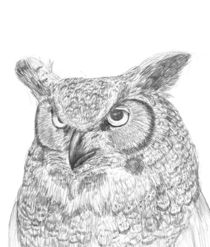 Great horned owl by Condor Artworks