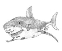 Shark Prank von Condor Artworks