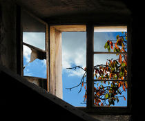 Herbstgartenfenster von Nikola Hahn