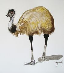 Emu by Terence Donnelly